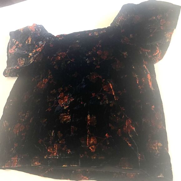 Loft Womens Velvet Floral Top Sz XL Short Sleeves Romantic Coquette Whimsigoth - Picture 9 of 15
